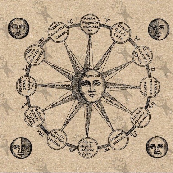 Meet your Posher, Jaycee - Picture 1 of 1